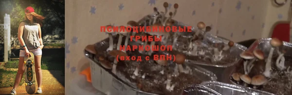 каннабис Белокуриха