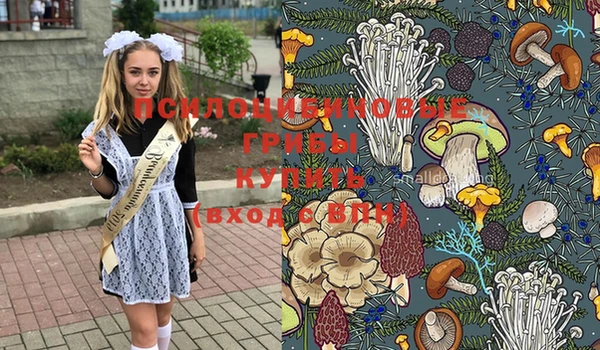 герыч Богородицк